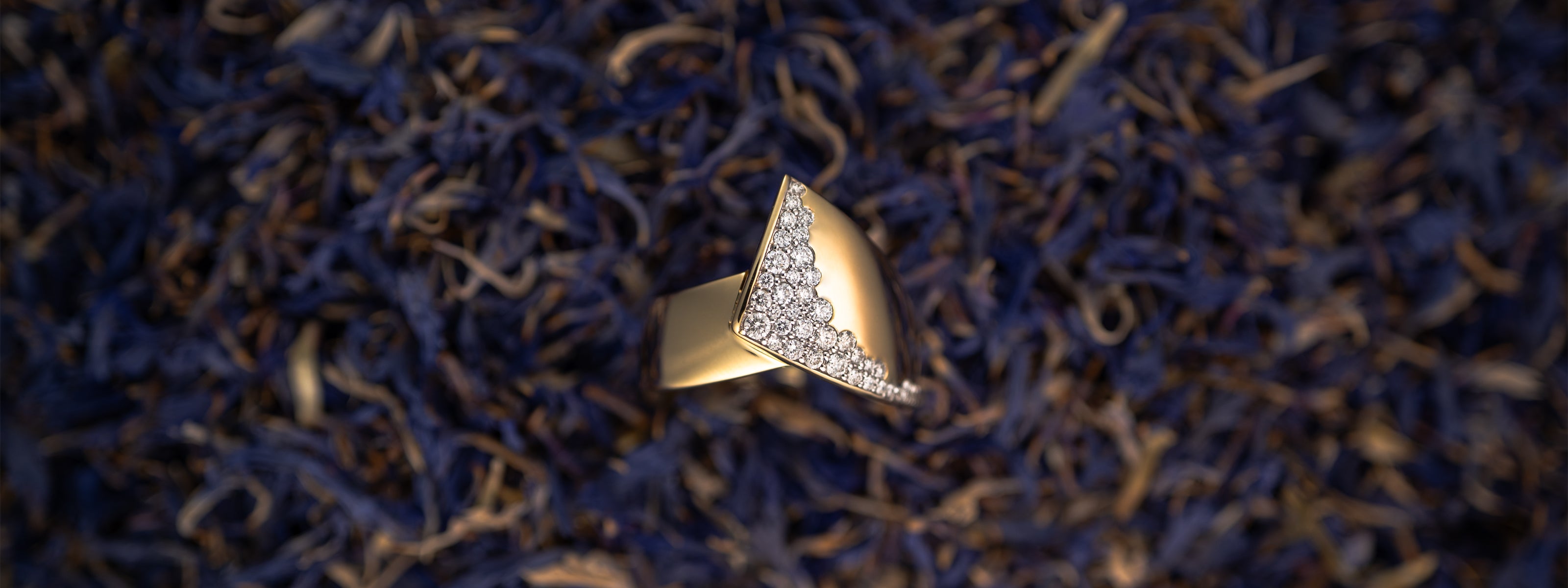 Close-up of a bold solid gold diamond ring showcased against a backdrop of vibrant purple leaves.